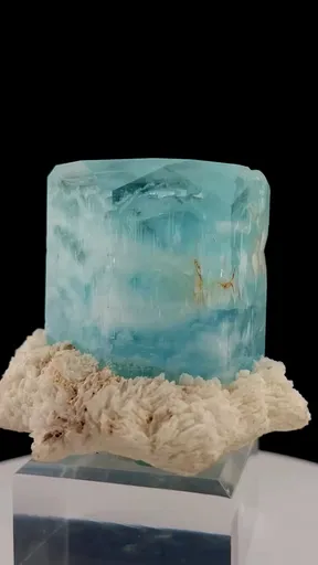 specimen video