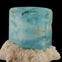 specimen video