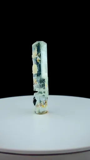 specimen video