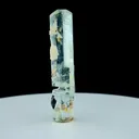 specimen video