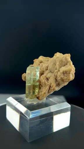 specimen video