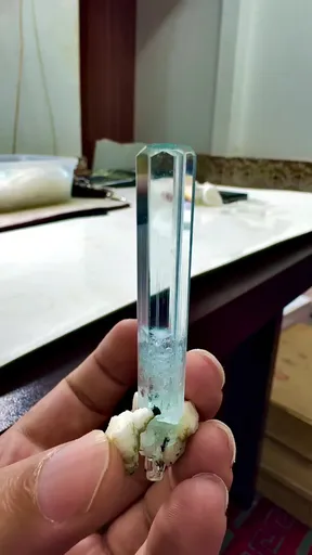 specimen video