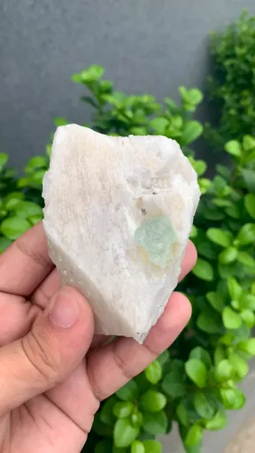 specimen video