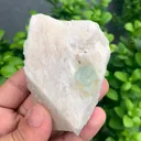 specimen video