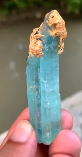 specimen video