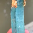 specimen video