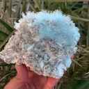 specimen video