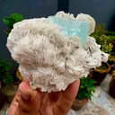 specimen video
