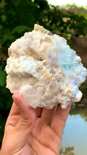 specimen video