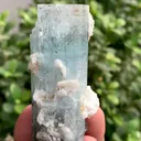 specimen video