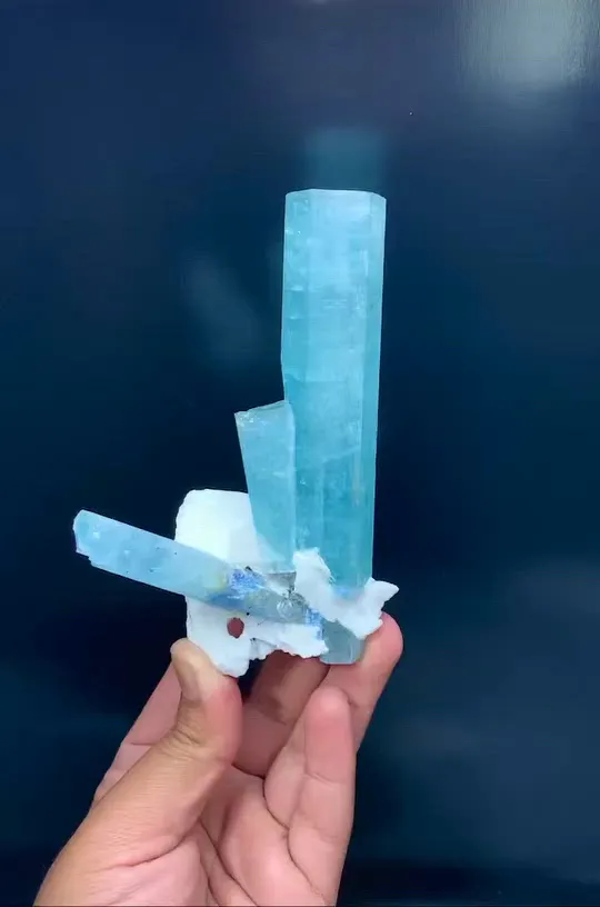 specimen video