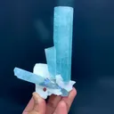 specimen video