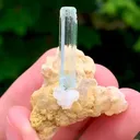 specimen video