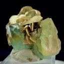 specimen video