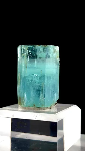 specimen video