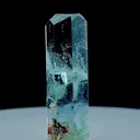 specimen video