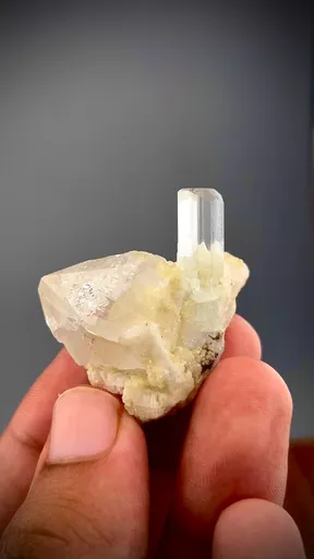 specimen video