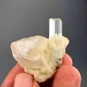 specimen video