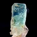 specimen video