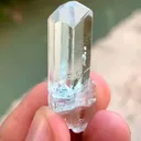 specimen video