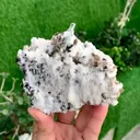 specimen video
