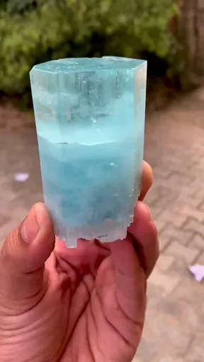 specimen video