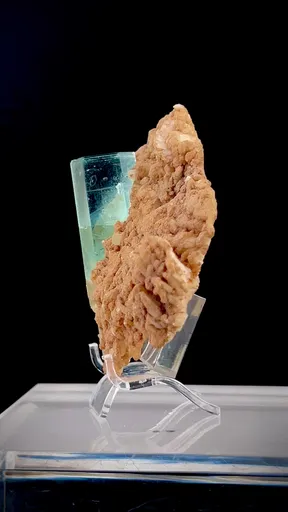 specimen video