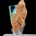 specimen video