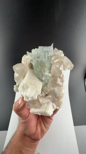 specimen video