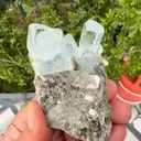 specimen video