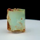 specimen video
