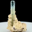specimen video