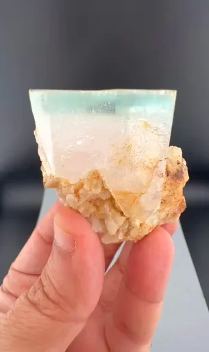 specimen video