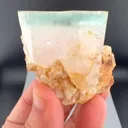 specimen video