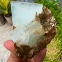 specimen video