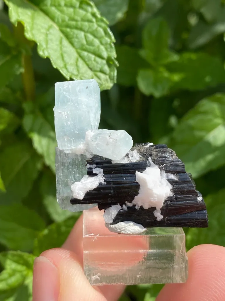 Aquamarine from Pakistan image