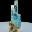 specimen video