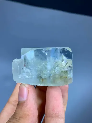 specimen video