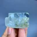 specimen video