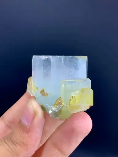 specimen video