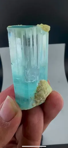 specimen video