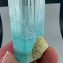specimen video