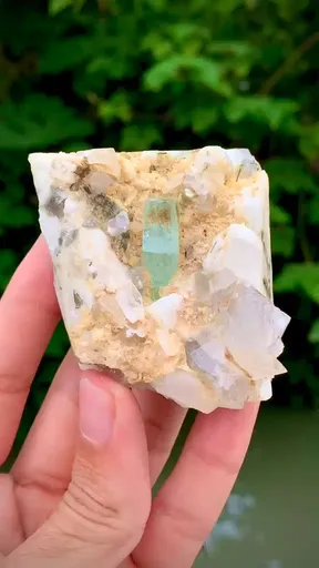 specimen video