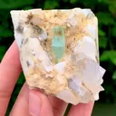 specimen video