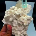 specimen video