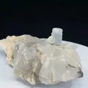specimen video