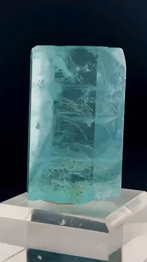 specimen video