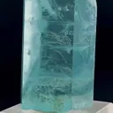 specimen video