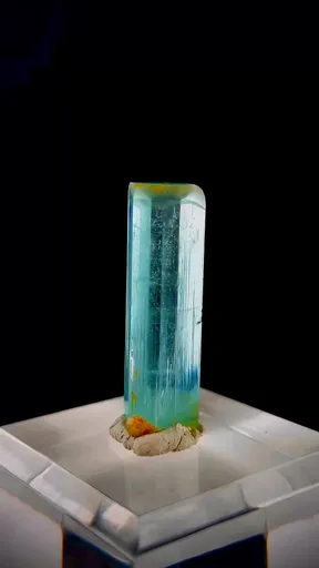 specimen video