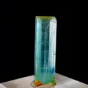 specimen video